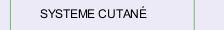 SYSTEME CUTAN&Eacute;